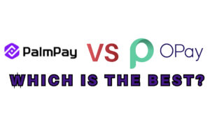 Palmpay vs Opay: Which is the Best Today?